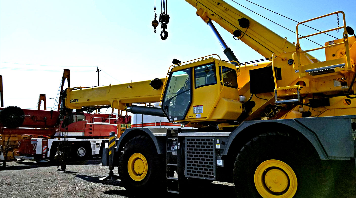 Yellow Crane